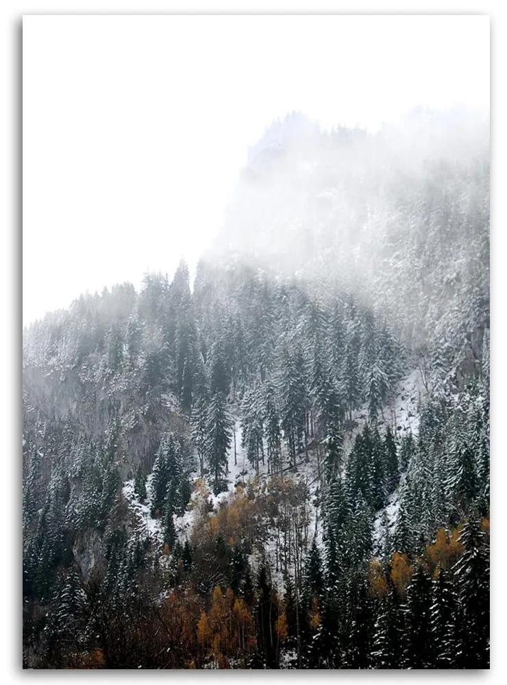 Gario Obraz na plátne Zasnežené hory - Dmitry Belov Rozmery: 40 x 60 cm