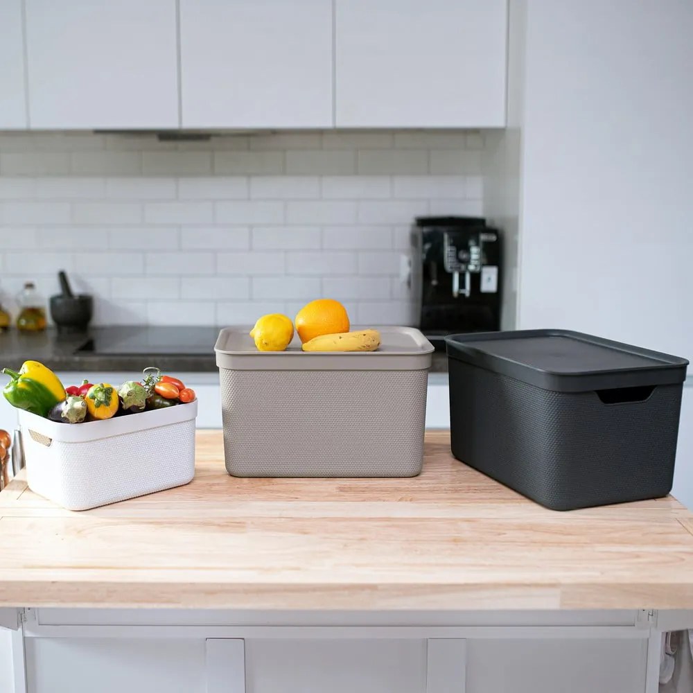 Plastový úložný box s vekom Deco - Rotho