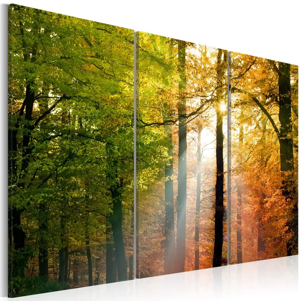 Obraz na plátne Bimago - Podzimní les 60x40 cm