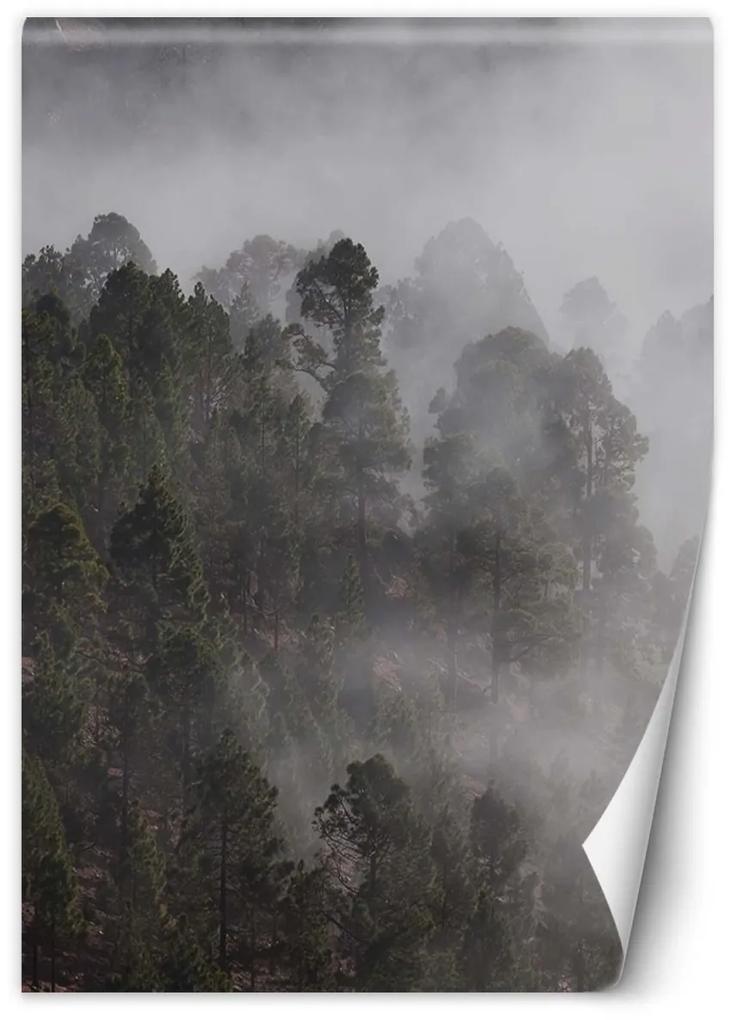 Fototapeta, Zelený les v mlze - 150x210 cm