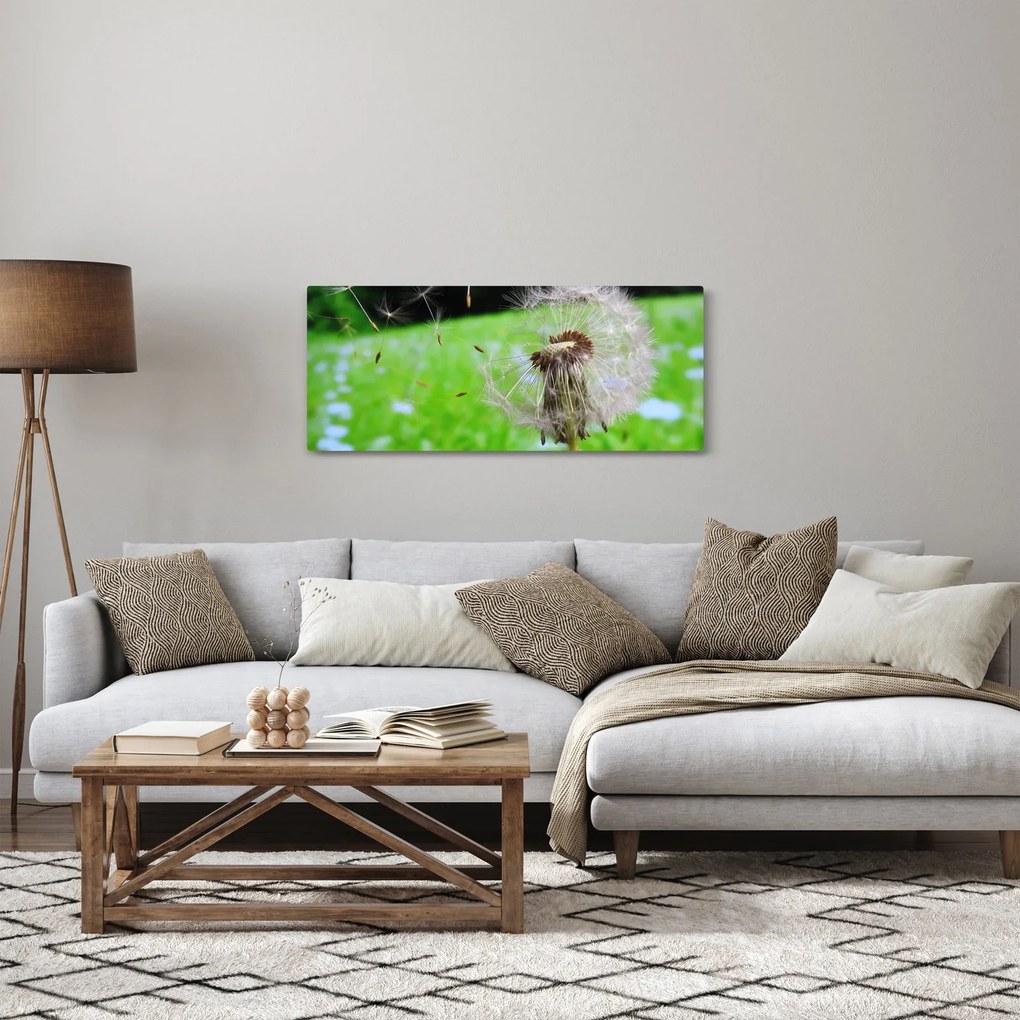 Obraz púpavy (120x50 cm)