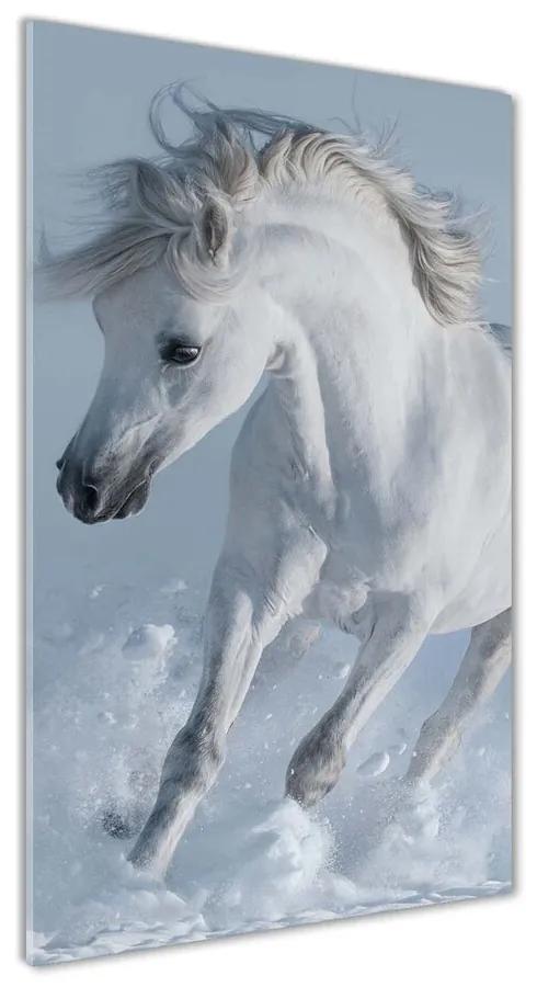 Foto obraz akrylový Biely kôň cval pl-oa-70x140-f-118288885