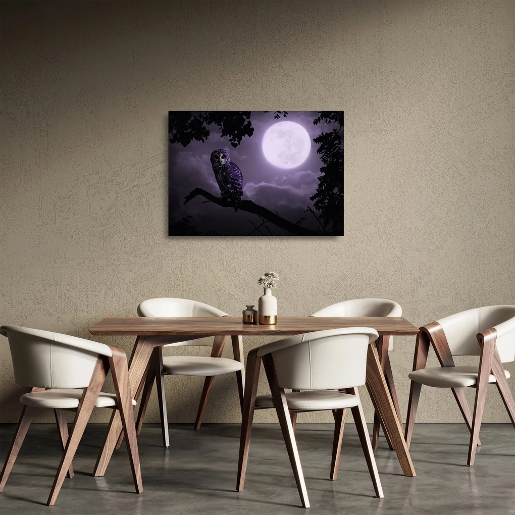 Sklenený obraz - Nočná sova, fialová (70x50 cm)