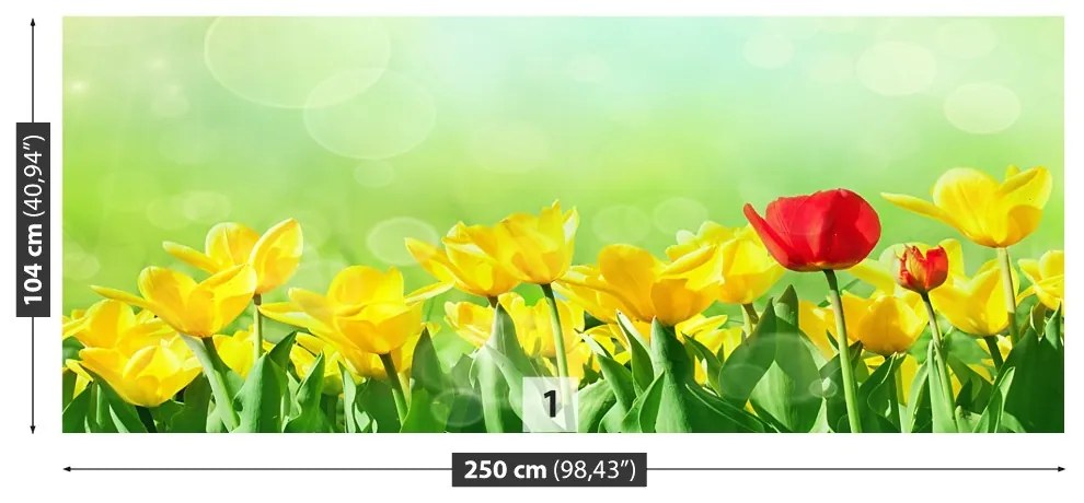 Fototapeta Vliesová Žlté tulipány 152x104 cm