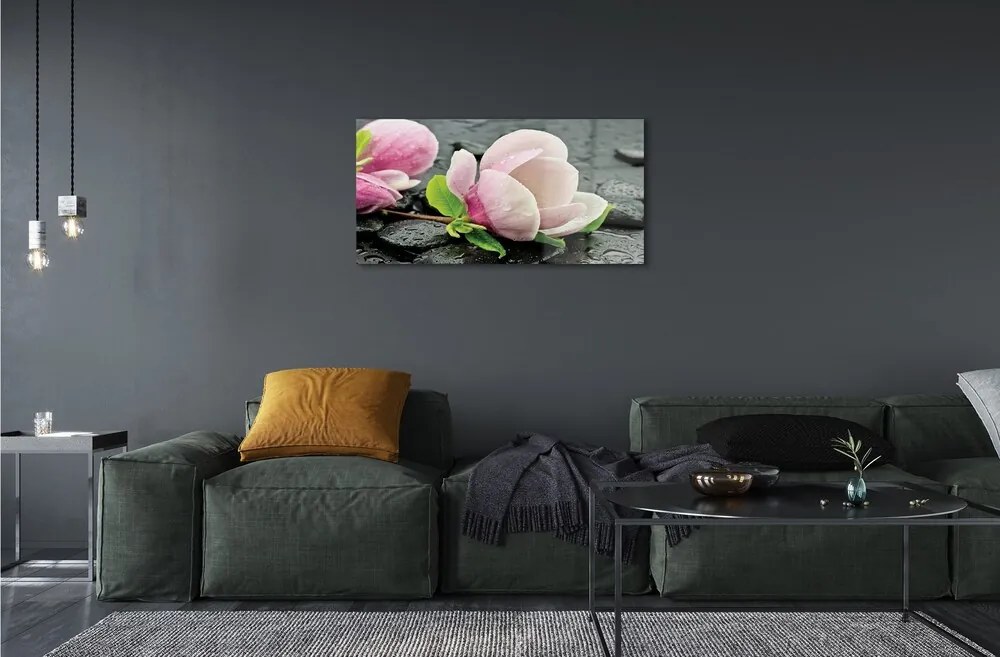 Sklenený obraz Magnolia kamene 100x50 cm