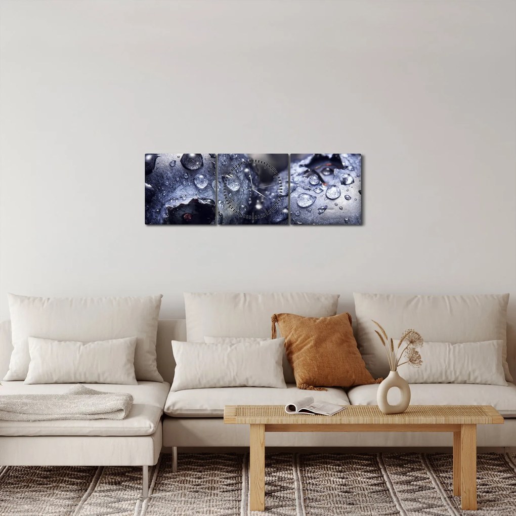 Obraz ovocia s kvapkami vody (s hodinami) (90x30 cm)