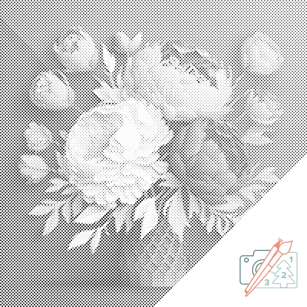 Gario Bodkovanie Kytica pivoniek Rozmery: 50 x 50 cm, Rámovanie: Iba zrolované plátno, Farba bodiek: Čierna