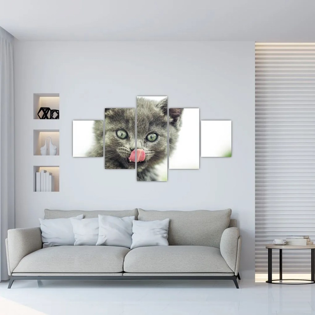Obraz oblizujícího sa mačiatka (125x70 cm), 40 ďalších rozmerov