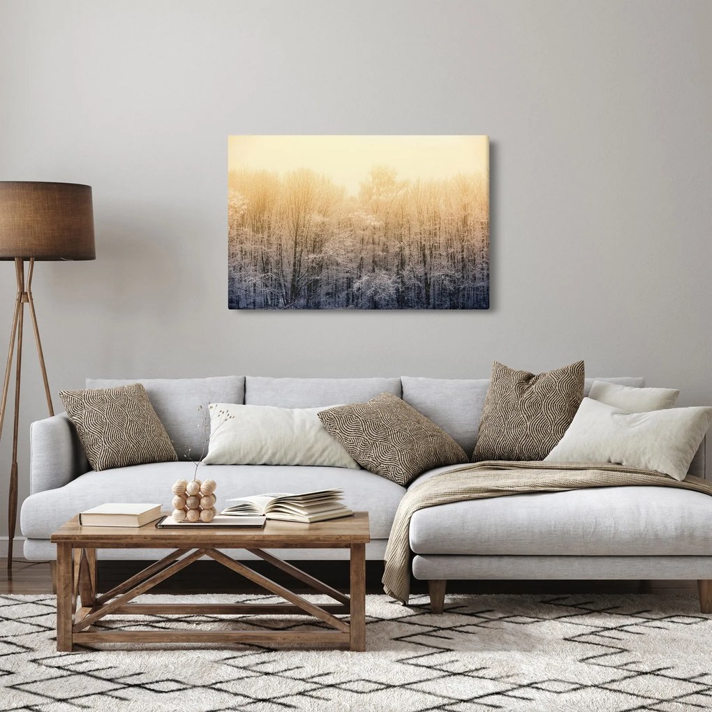 Obraz mrazivého lesa (90x60 cm)