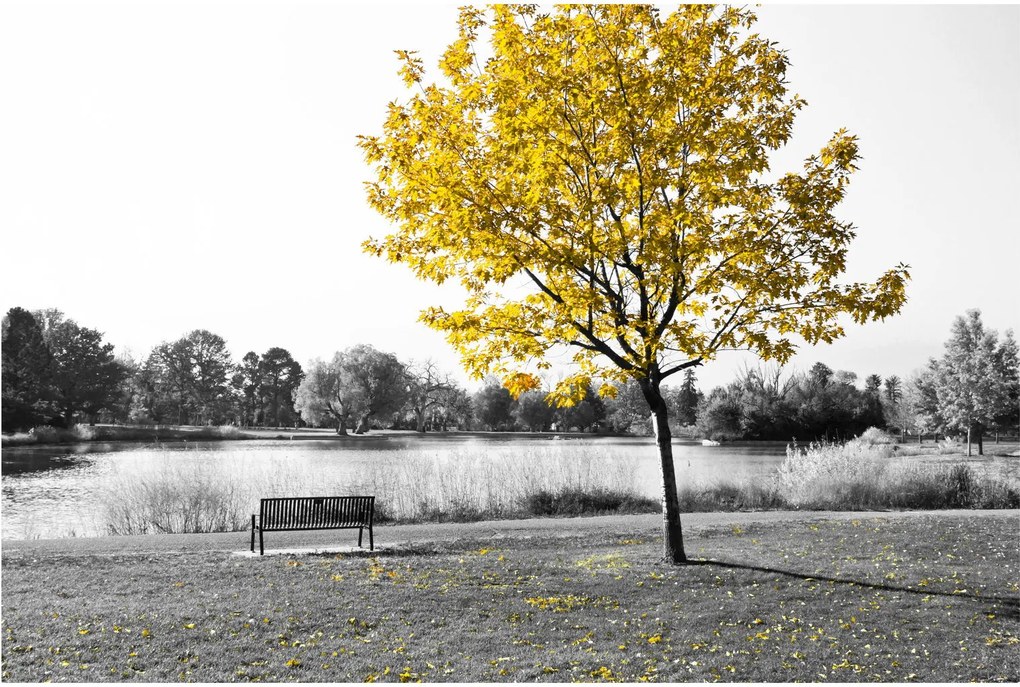 Obraz - Odpočinok v parku (90x60 cm)