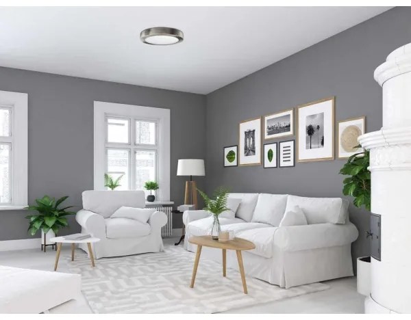 LED Stropné svietidlo FENIX LED/12W/230V 3800K pr. 17 cm