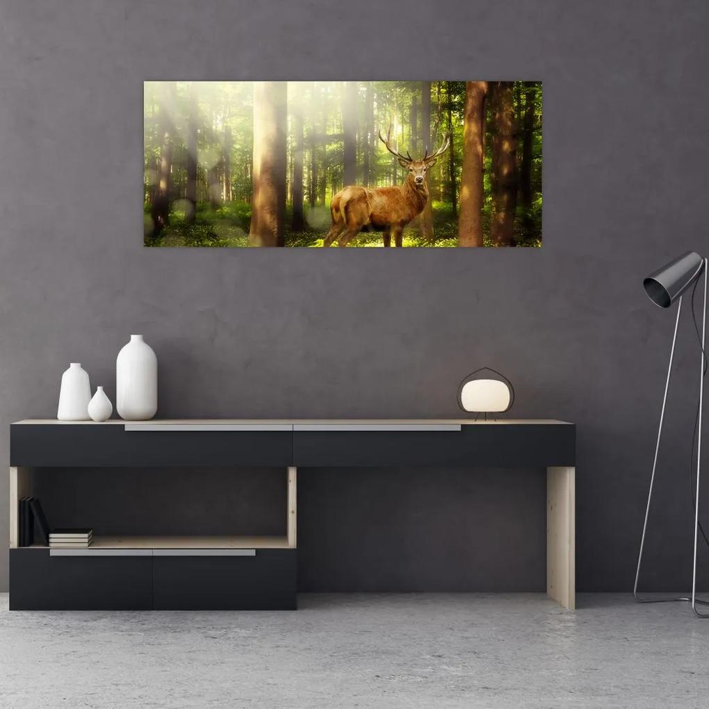 Obraz jeleňa v lese (120x50 cm)