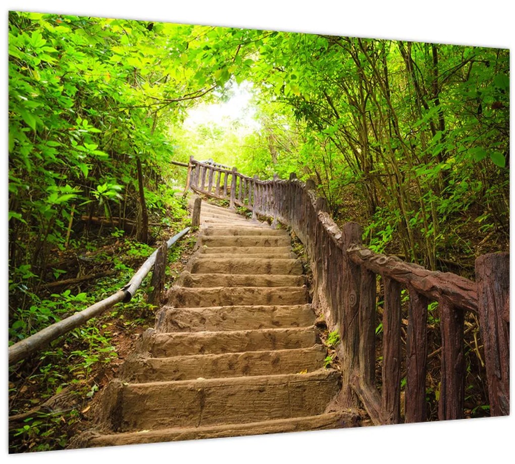 Obraz - Schody v prírode (70x50 cm)