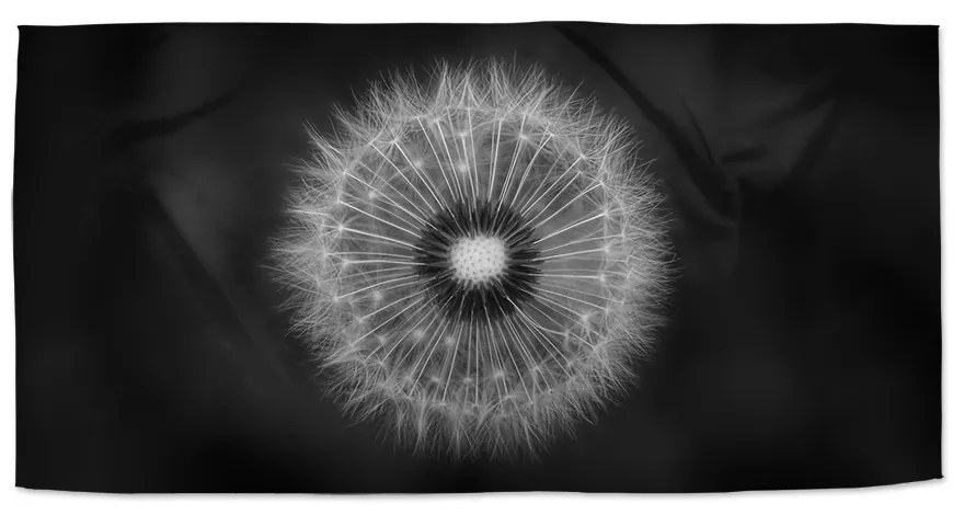 Sablio Uterák Čierno-biela púpava - 30x50 cm