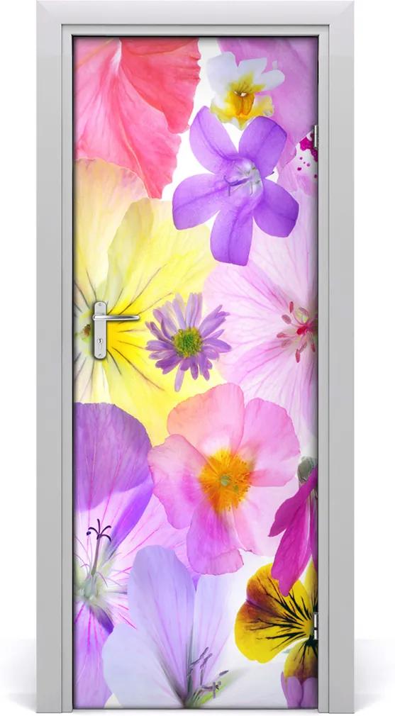 Fototapeta na dvere  farebné kvety