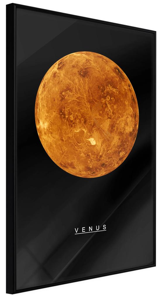Artgeist Plagát - Venus [Poster] Veľkosť: 40x60, Verzia: Zlatý rám s passe-partout