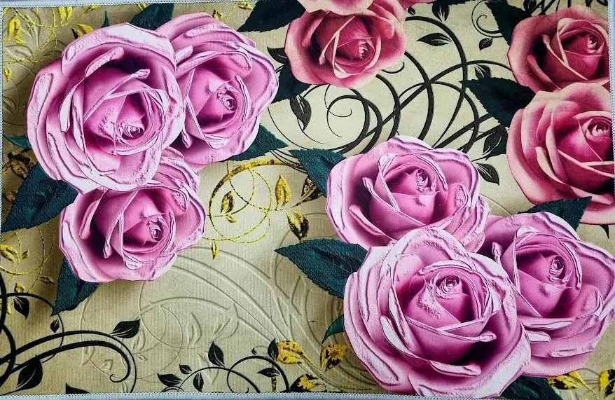 Rohožka D Polyester 40 x 60 cm