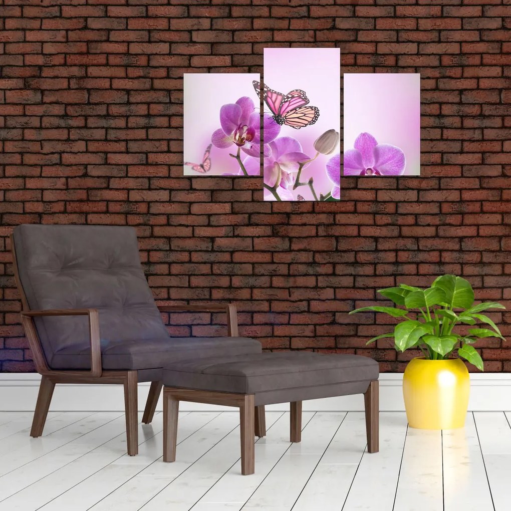 Obraz - Motýľ na kvetoch orchidey, lila (90x60 cm)