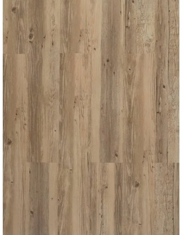 Tajima, Vinylová podlaha Tajima Classic Ambiente 6206 béžová, 1219,2 x 177,8 mm