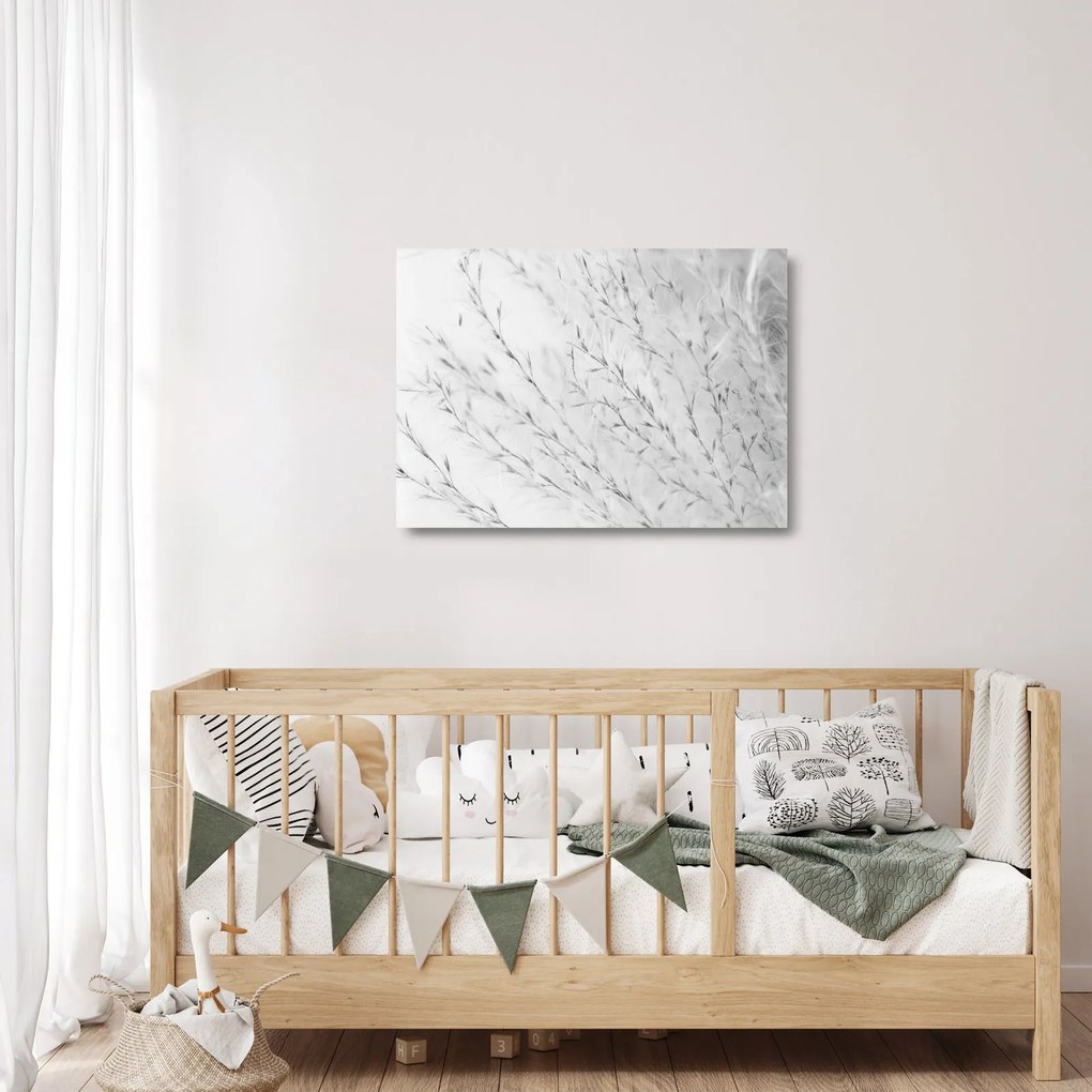 Sklenený obraz - Pampas grass N⁰2 (70x50 cm)