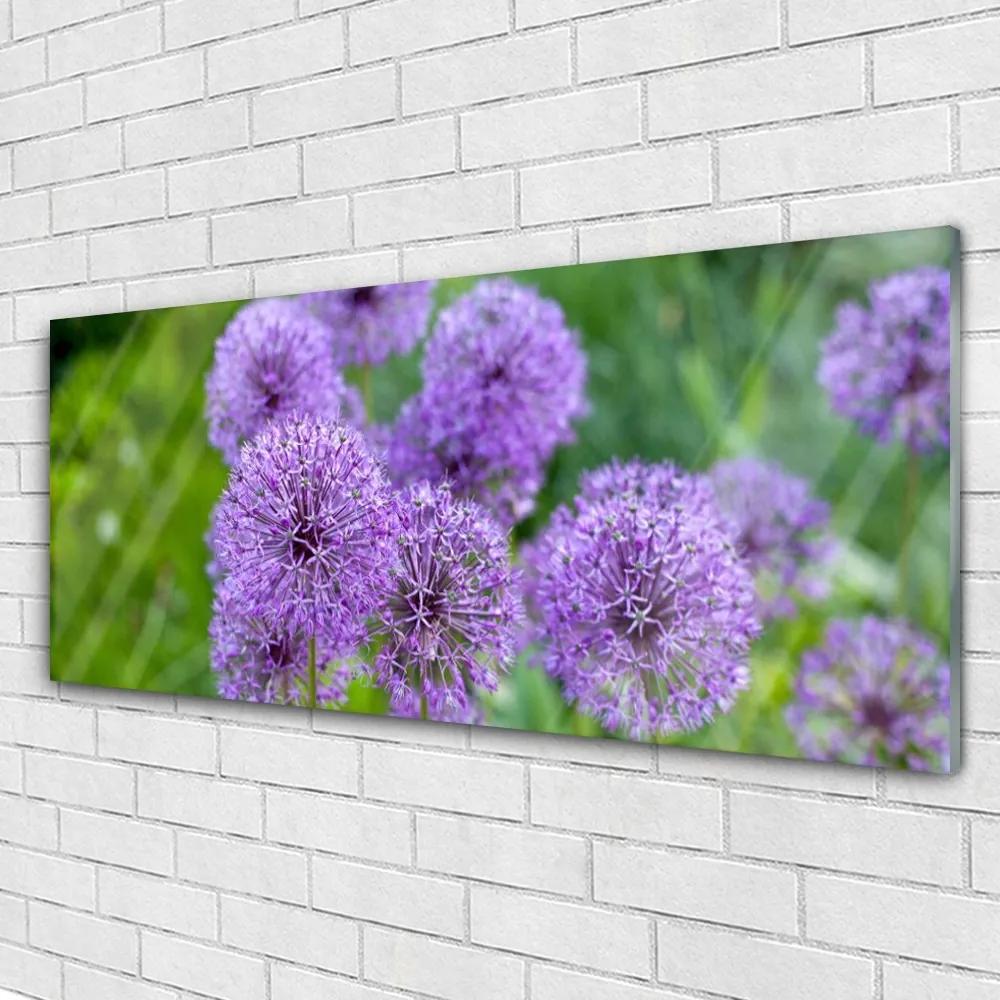 Obraz plexi Fialové kvety lúka 125x50 cm