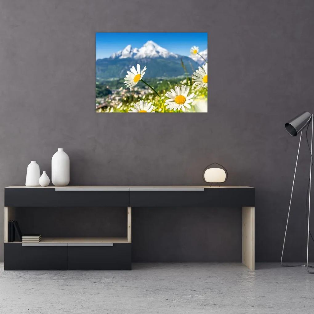 Sklenený obraz - Jar v Alpách (70x50 cm)