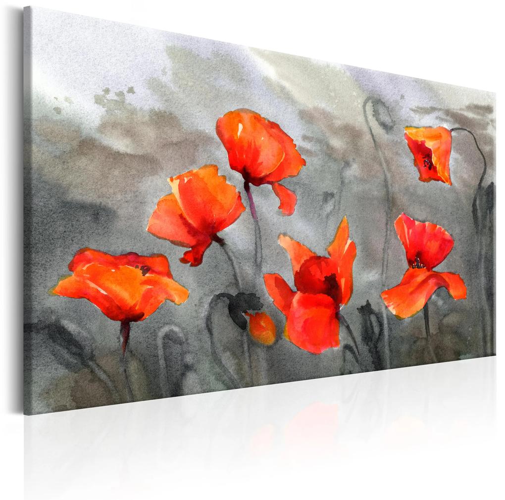 Artgeist Obraz - Poppies (Watercolour) Veľkosť: 120x80, Verzia: Premium Print