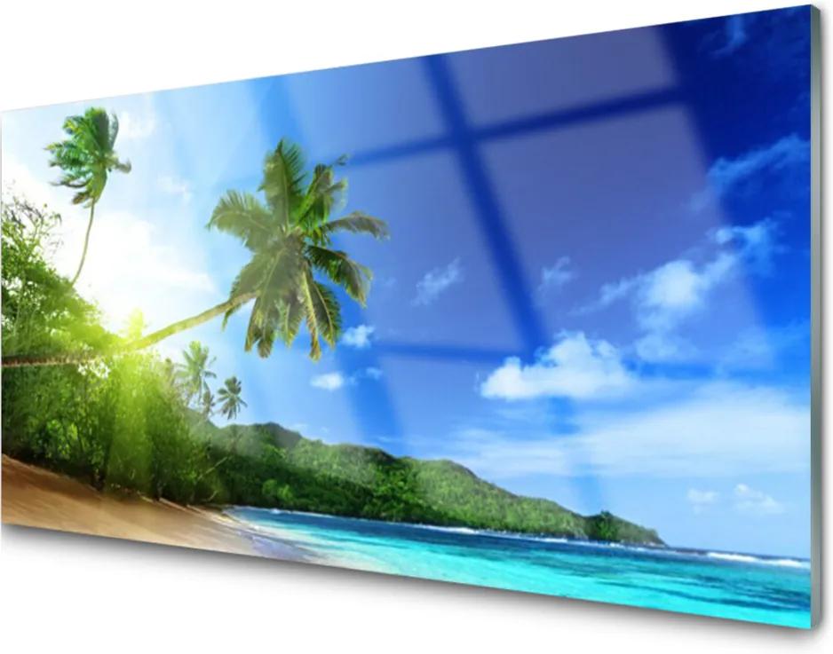 Obraz plexi Pláž more palma krajina