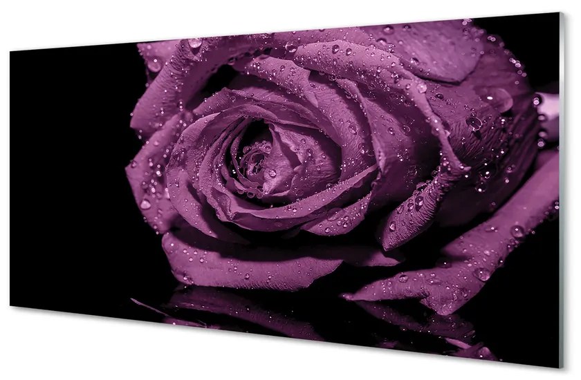 Obraz plexi Purpurová ruža 125x50 cm