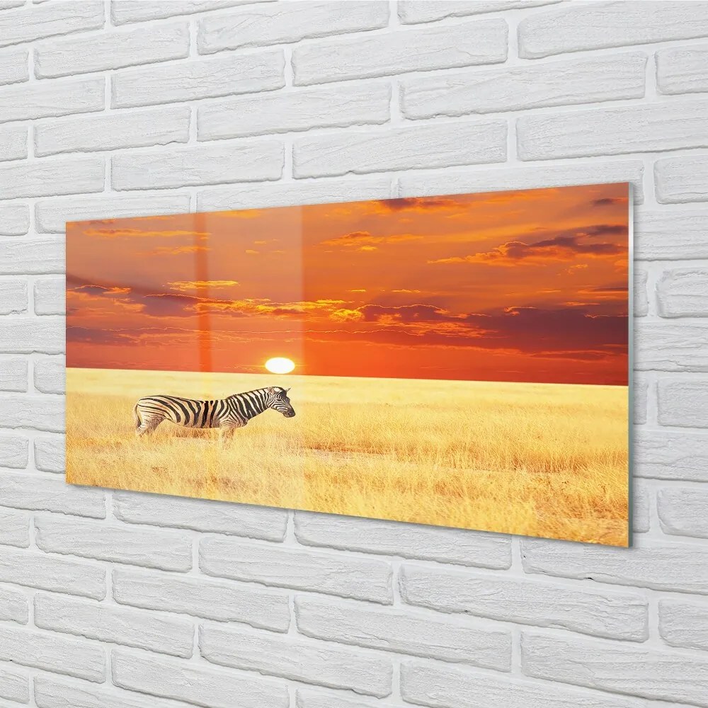 Sklenený obraz Zebra poľa sunset 100x50 cm