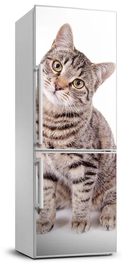 Samolepiace nálepka na chladničku stenu Mačka FridgeStick-70x190-f-78018175