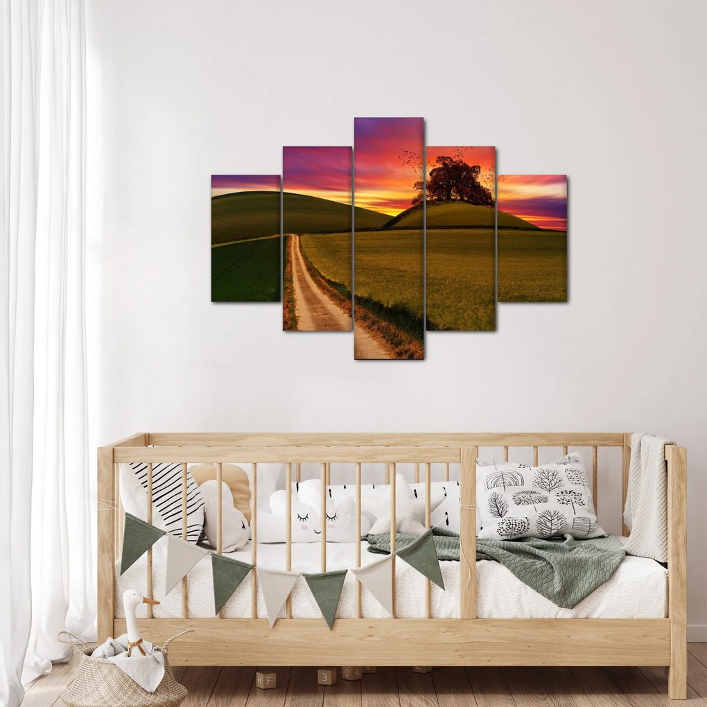 Obraz poľa pri západe slnka (150x105 cm)