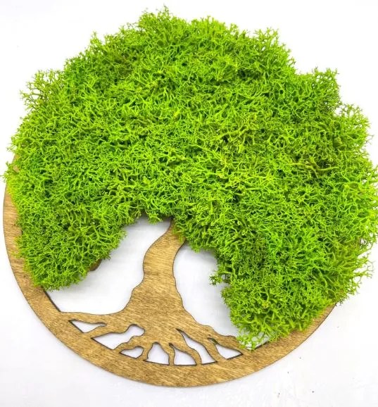 Strom na stenu z machu Bell 20 cm