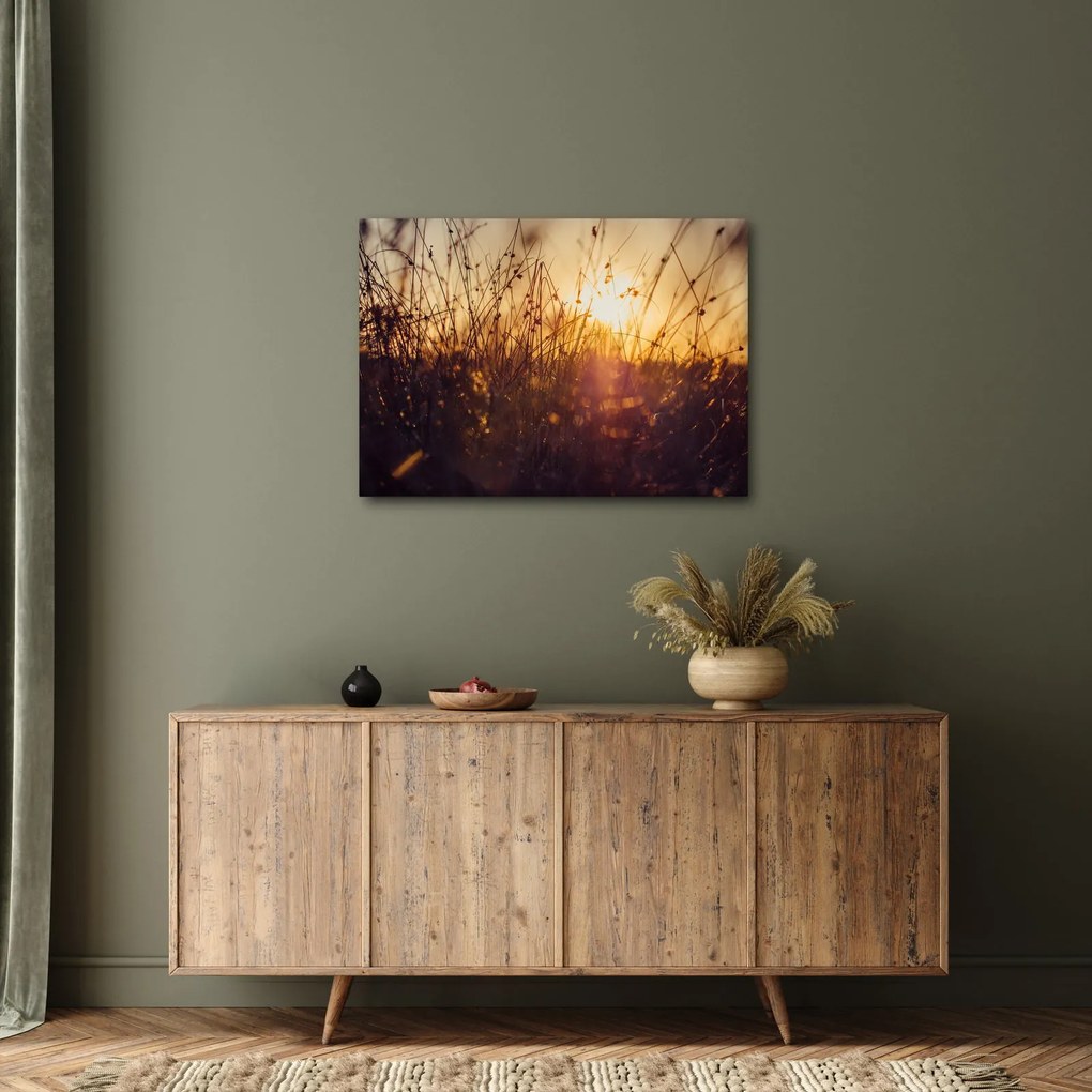 Obraz poľa pri západe slnka (70x50 cm)