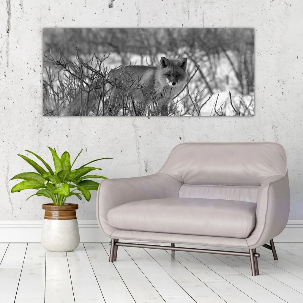 Obraz - Líška v zime (120x50 cm)