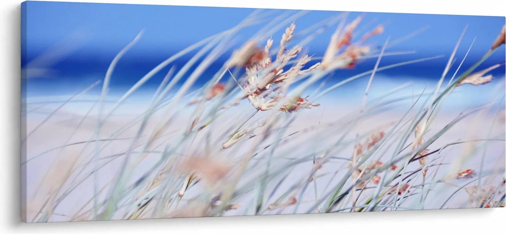 Obraz - Vánok (120x50 cm)