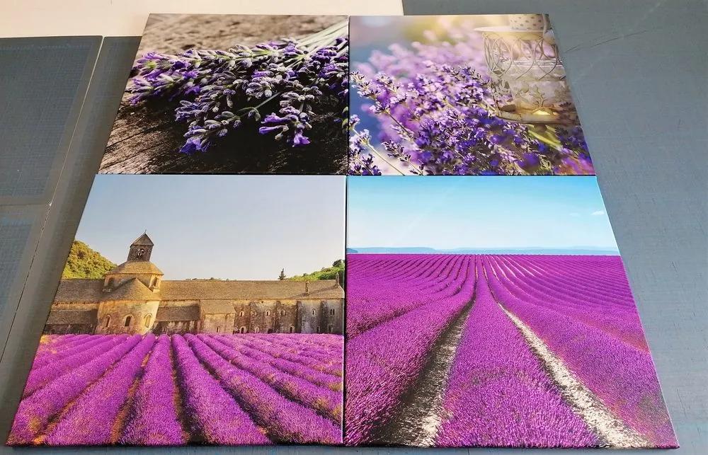 Set obrazov krásna levanduľa Varianta: 4x 60x60