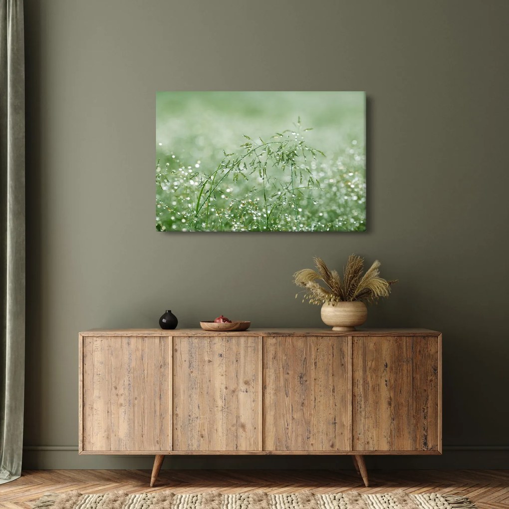 Obraz - Rosa v tráve (90x60 cm)