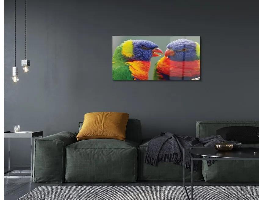 Sklenený obraz farebný papagáj 125x50 cm