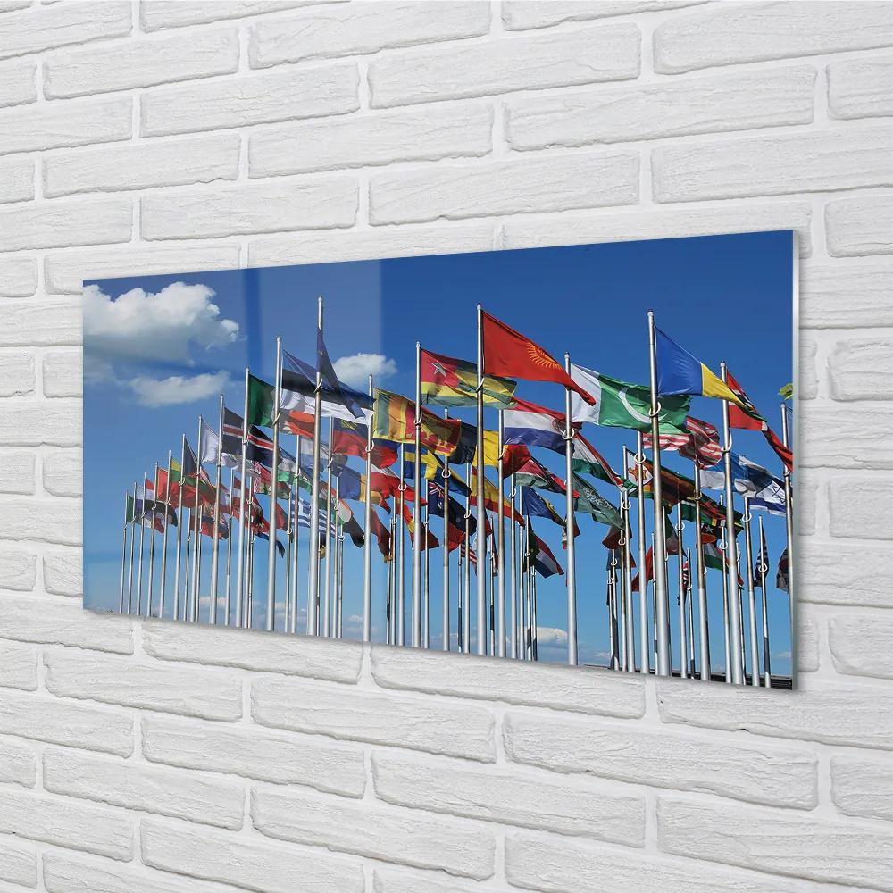 Nástenný panel  rôzne vlajky 100x50 cm