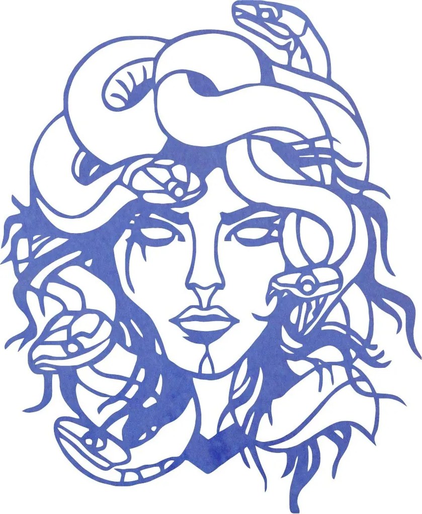 SENTOP | Magický obraz na stenu medúza| SENTOP PR0423