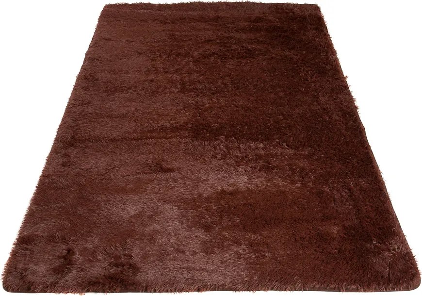 TA Koberec BROWN BROWN SILK Hnedý Obdĺžnikový Rozmer: 80x150 cm