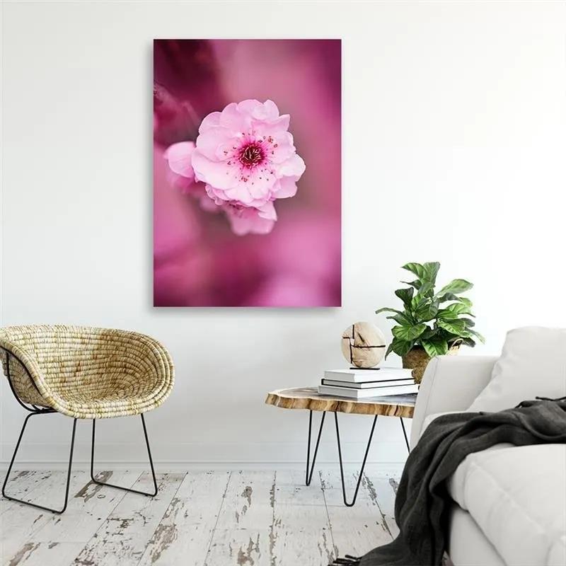 Obraz na plátně Třešňový květ růžová příroda - 70x100 cm