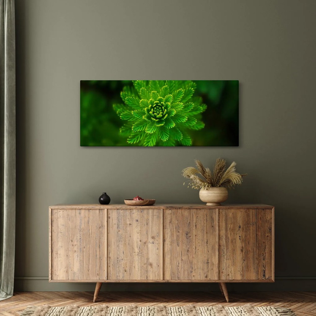 Obraz ihličnanu (120x50 cm)