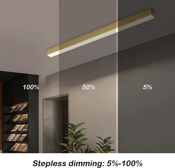 BRILAGI - LED stmievateľné stropné svietidlo SLEEKLINE LED/40W/230V Wi-Fi Tuya zlaté+diaľkové ovládanie