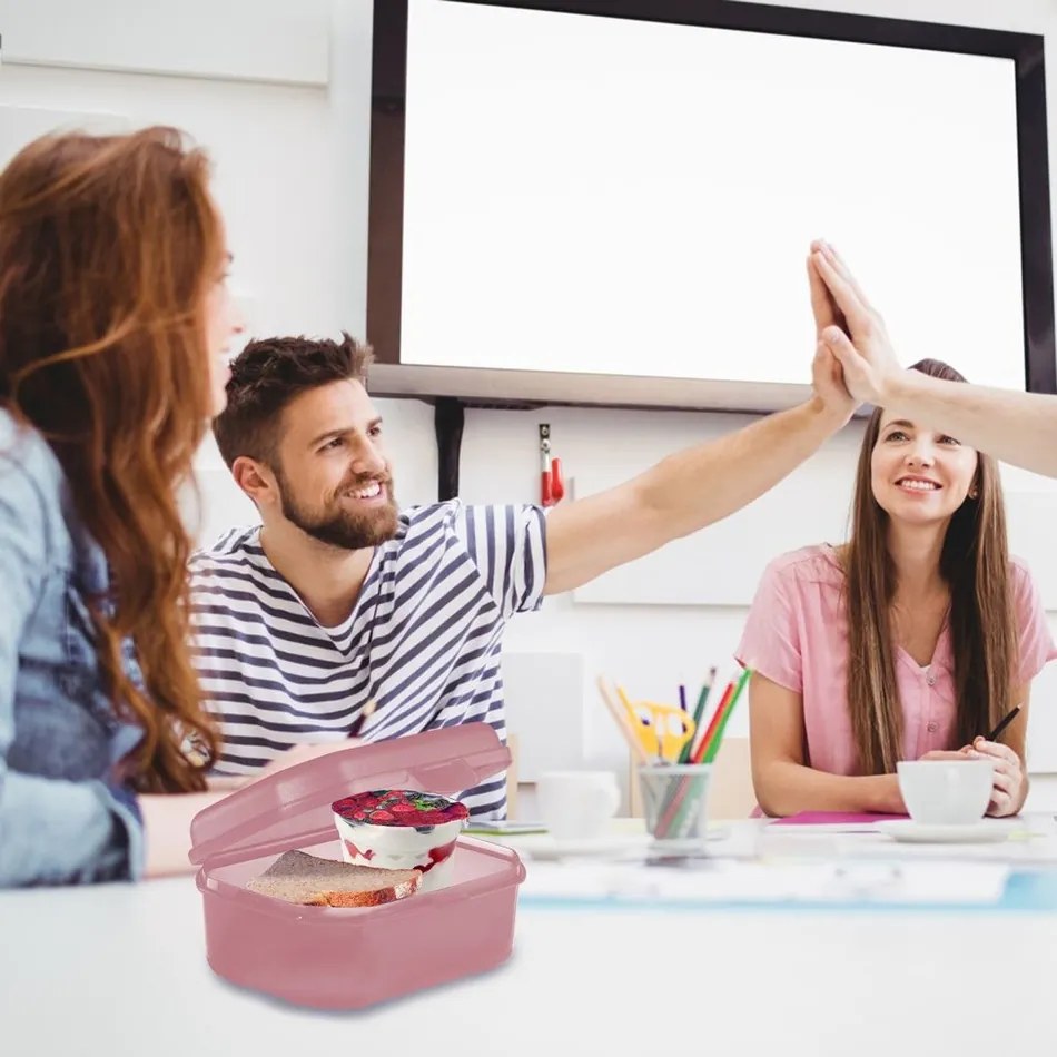 Westmark Box na desiatu MAXI, 935 ml, ružová, L