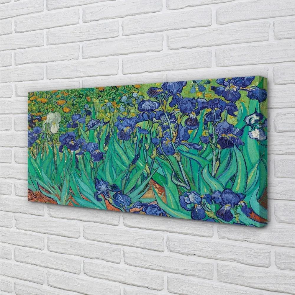 Obraz canvas Umenie kvety dúhovky 125x50 cm
