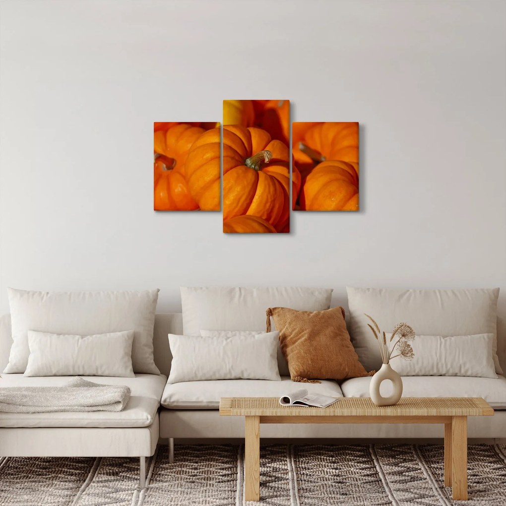 Obraz - Veľké tekvice (90x60 cm)