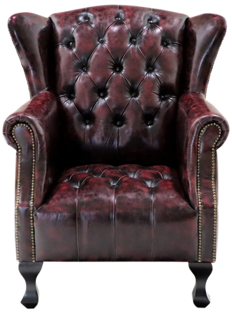 furniture-nabytek.cz - Kožené kreslo Chesterfield