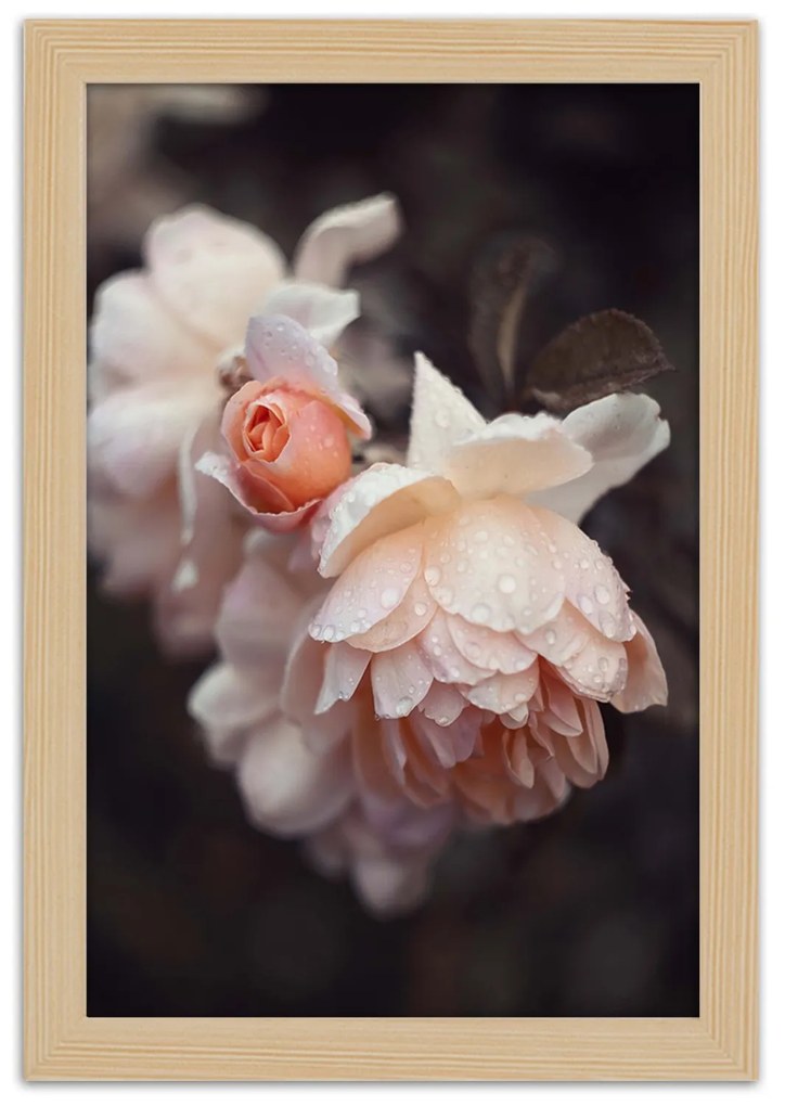 Gario Plagát Makro fotografovanie kvetov Farba rámu: Bez rámu, Rozmery: 30 x 45 cm